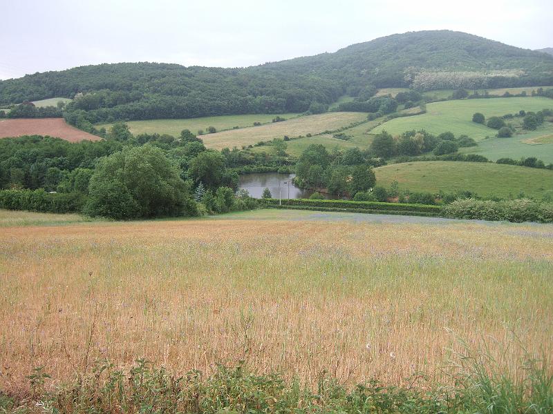 2011-05- (153).JPG
